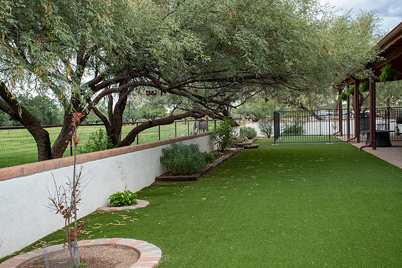 RS_MainHouse_Backyard_0222