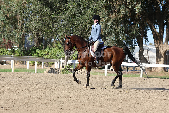 DAHA_FF22_3437