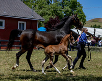 ShermanRanch0524_3412