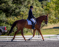 FWF2019_0005