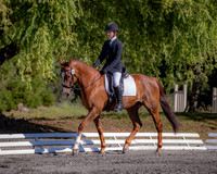 FWF2019_0012