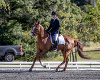 FWF2019_0019