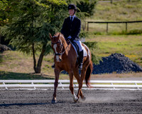 FWF2019_0022