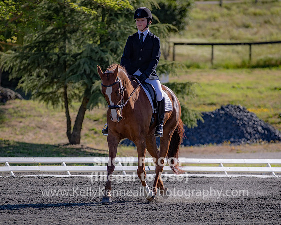 FWF2019_0022