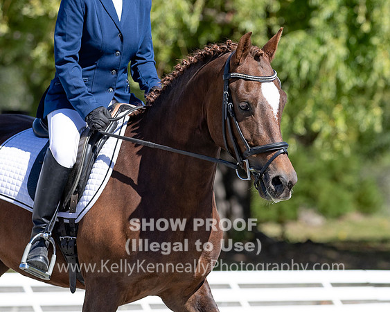 FWF2019_0099