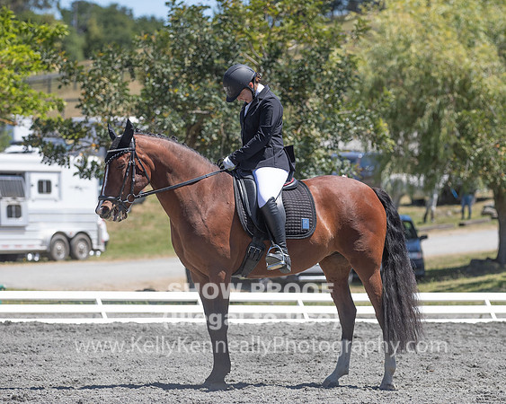 FWF2019_0264