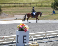 FWF2019_0269