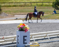 FWF2019_0270