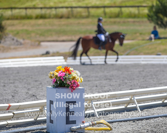 FWF2019_0270