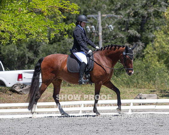 FWF2019_0308