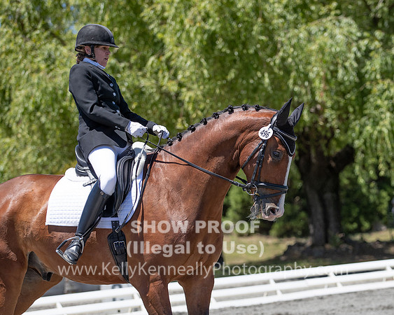 FWF2019_0347