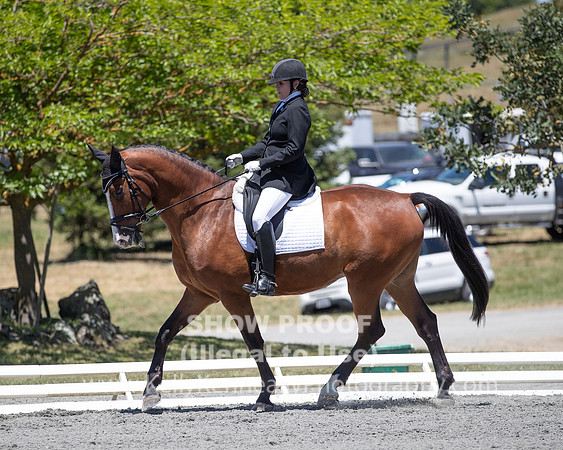 FWF2019_0349