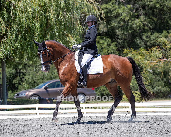 FWF2019_0351