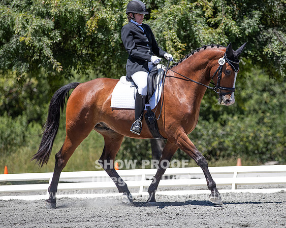 FWF2019_0355