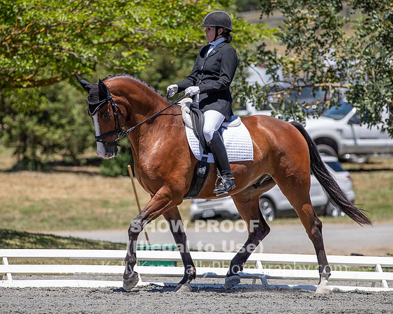 FWF2019_0363
