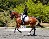 FWF2019_0370