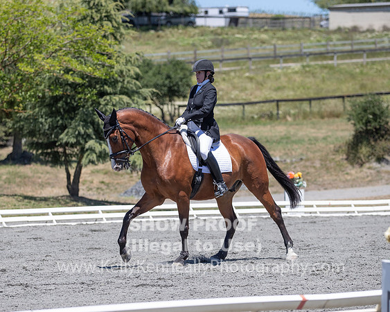 FWF2019_0375