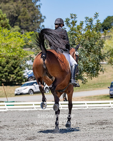 FWF2019_0373