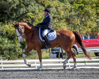 FWF2019_0446