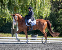 FWF2019_0448