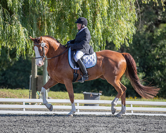 FWF2019_0448