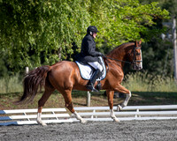 FWF2019_0464