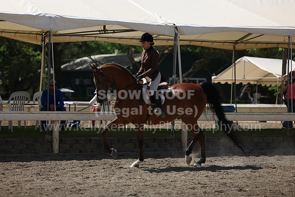 DAHA22_Thurs_0831