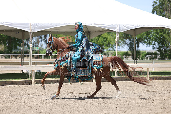 DAHA22_Thurs_1148