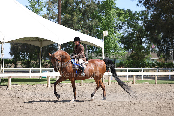 DAHA22_Thurs_0839