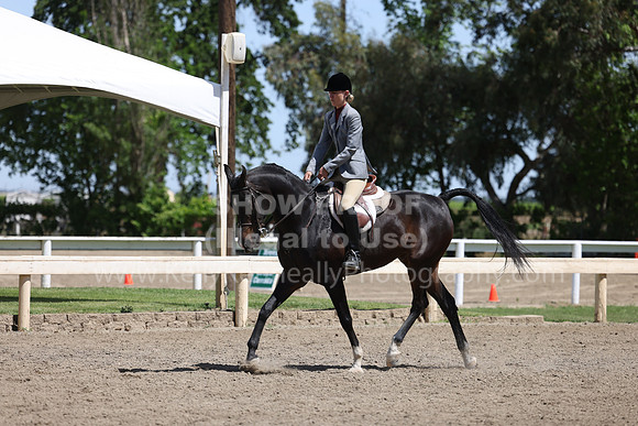 DAHA22_Thurs_0884