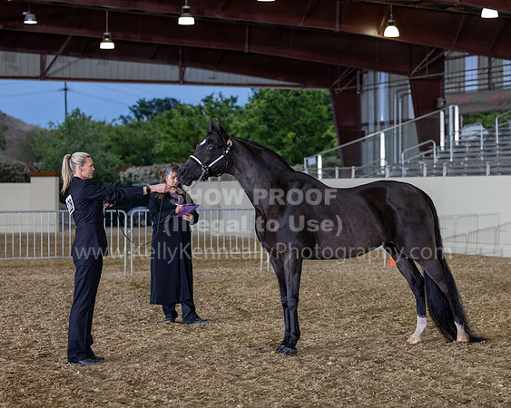 AHANC22_R5_Wed_0506