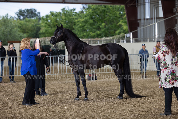 AHANC22_R5_Wed_0404