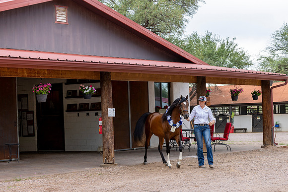 RS_ShowBarn_1178