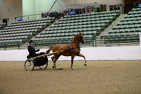 R319_MonPM_1259