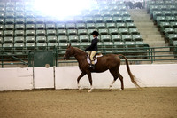 Class 44 A/HA/AA Walk Trot Hunter Seat Equitation 10 & Under
