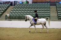 R319_MonPM_1285