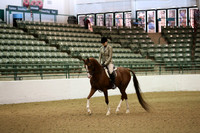 Class 45 HA/AA Hunter Pleasure Junior Horse 5 yrs & Under