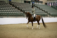 R319_MonPM_1297
