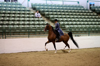 Class 46 Arabian Country English Pleasure JTR 18 yrs & Under