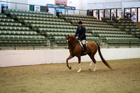 Class 47 HA/AA Hunter Pleasure Ladies & Gentlemen to Ride