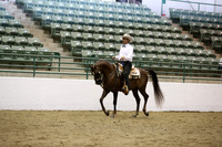 Class 49 Arabian Western Pleasure Junior Horse 5 yrs/Under