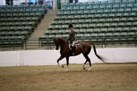 Class 50 HA/AA HJunter Pleasure JTR 18 yrs/ Under