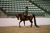 Class 54 HA/AA Western Pleasure JTR 18 yrs & Under