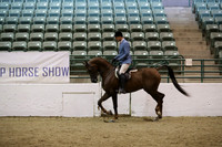 Class 58 Arabian Hunter Pleasure Junior Horse 5 yrs & Under