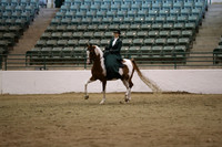Class 60 HA/AA Ladies Side Saddle ATR