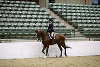 R319_MonPM_1995