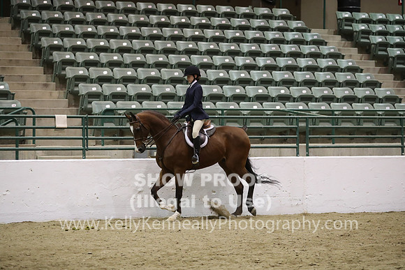 R319_MonPM_1996