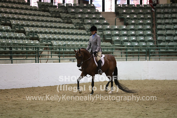 R319_MonPM_2011