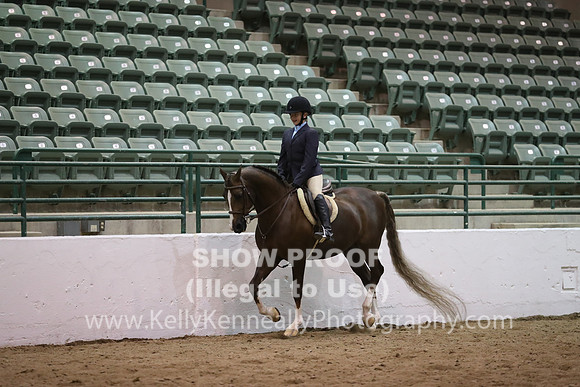 R319_MonPM_2017