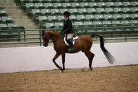 Class 62 Hunter Seat Equitation Not to Jump AATR 19 yrs/Over